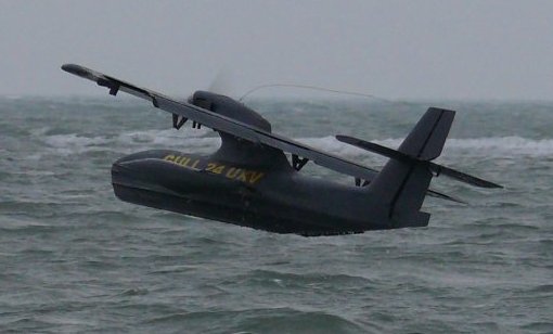 Gull 36 unmanned seaplane